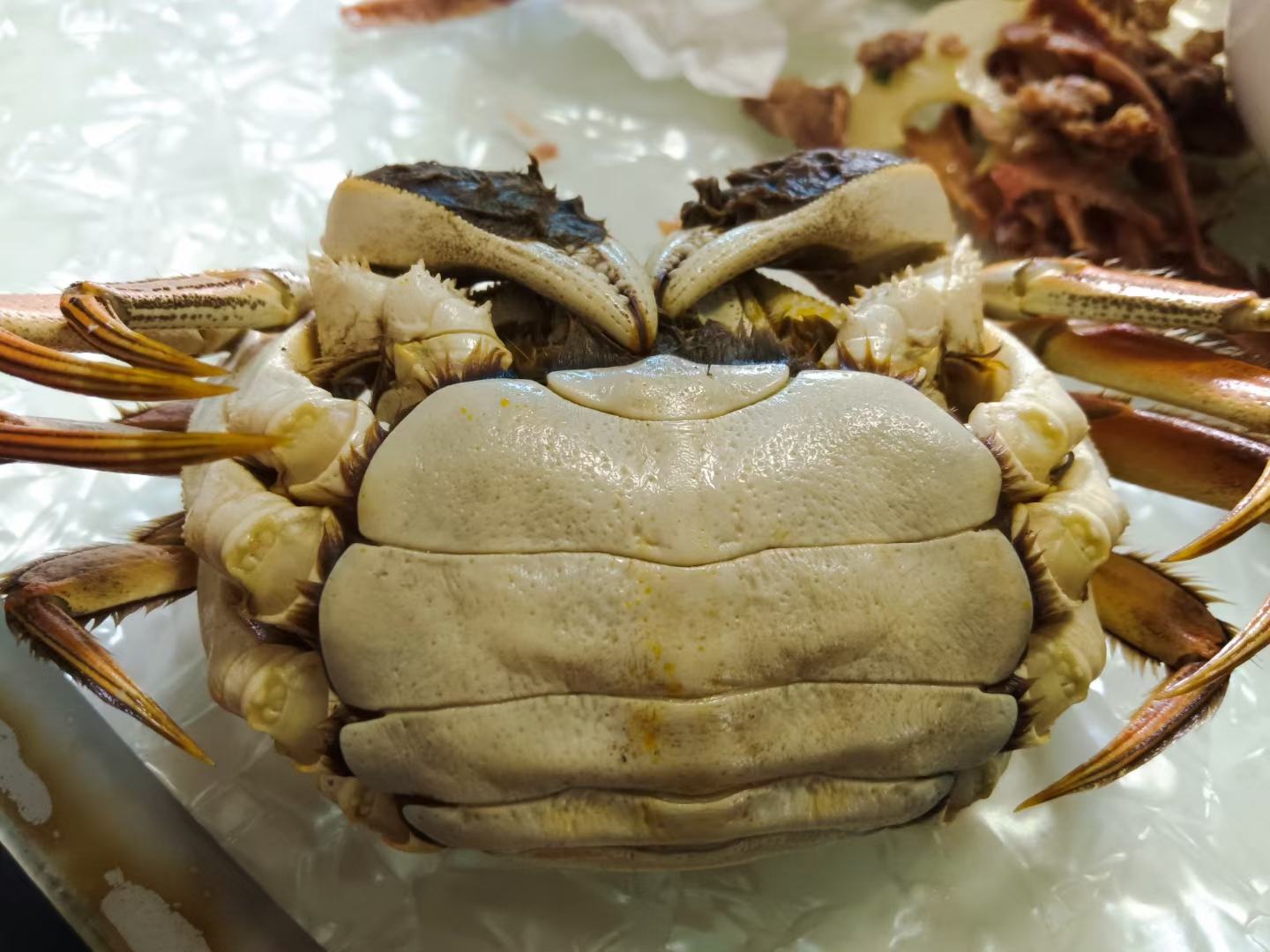 清蒸大闸蟹成品