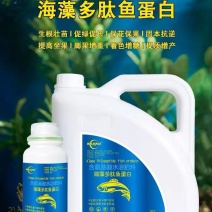 鱼肽原浆水溶肥