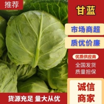 河南甘蓝，颜色绿，个头均匀，货源充足，保质保量