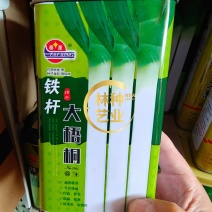 铁杆大葱种子山东章丘四季葱种苗特大蔬菜种籽香葱小孑蔬菜葱