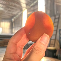 柿饼