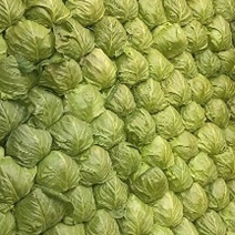 好橄榄以上市，价格便宜，七分熟，颜色青绿，耐运输口感