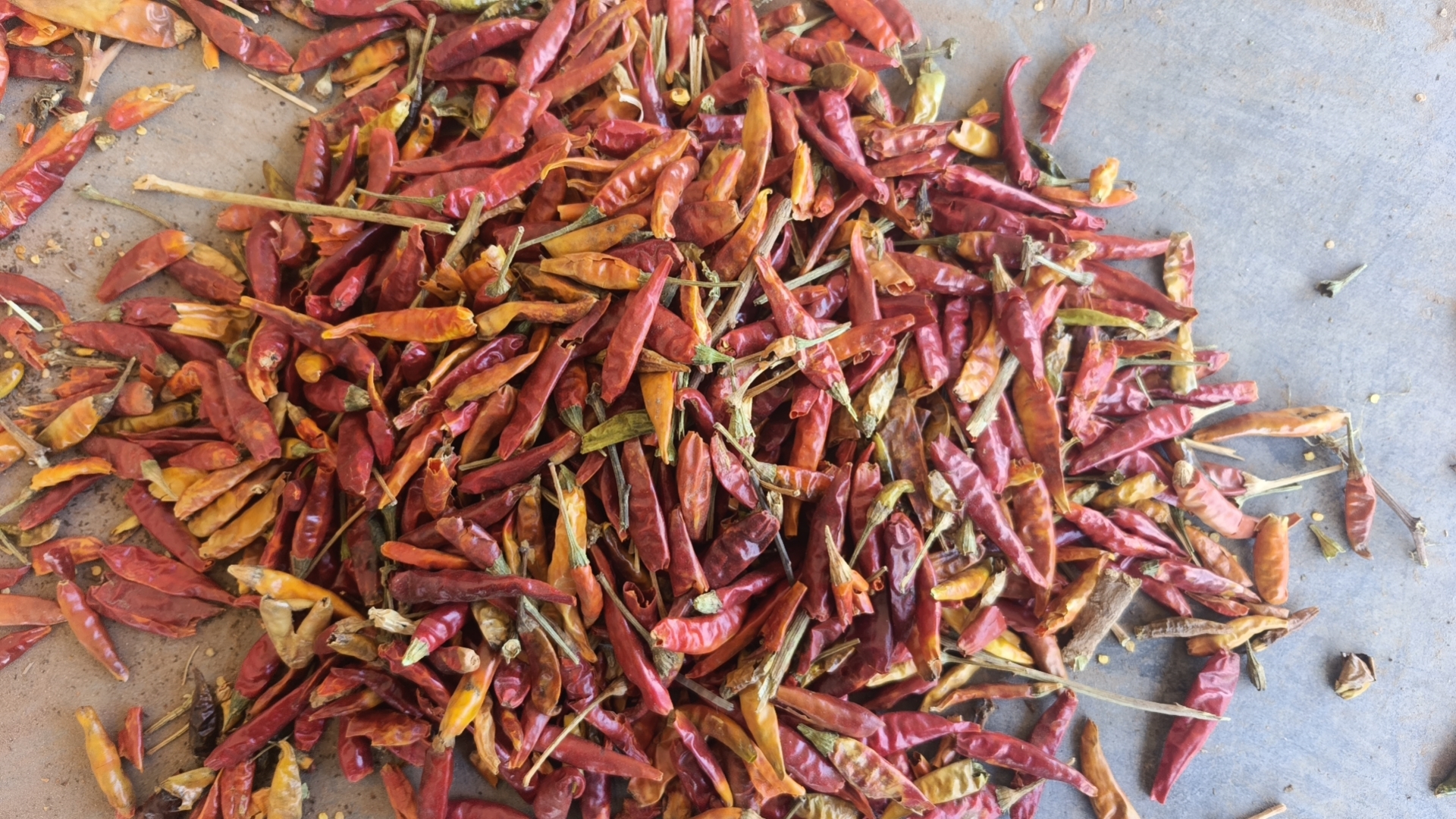 三樱椒营养成分柱状图