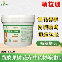 颗粒硼微量元素水溶肥提高坐果保花保果果树蔬菜底肥通用
