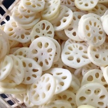 藕片，精品莲藕片，量大从优