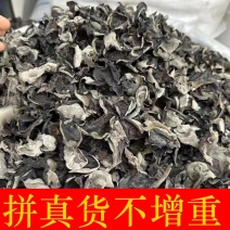 野生黑木耳高泡发率产地黑龙江欢迎来电咨询