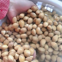 银杏果4吨左右价格面议