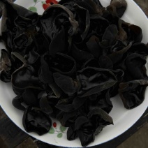 一件包邮碗耳，秋耳口感润滑，久泡不烂，承接电商