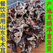 山东济宁鱼台县毛木耳大量供应电商食堂食用菌鲜货量大从优