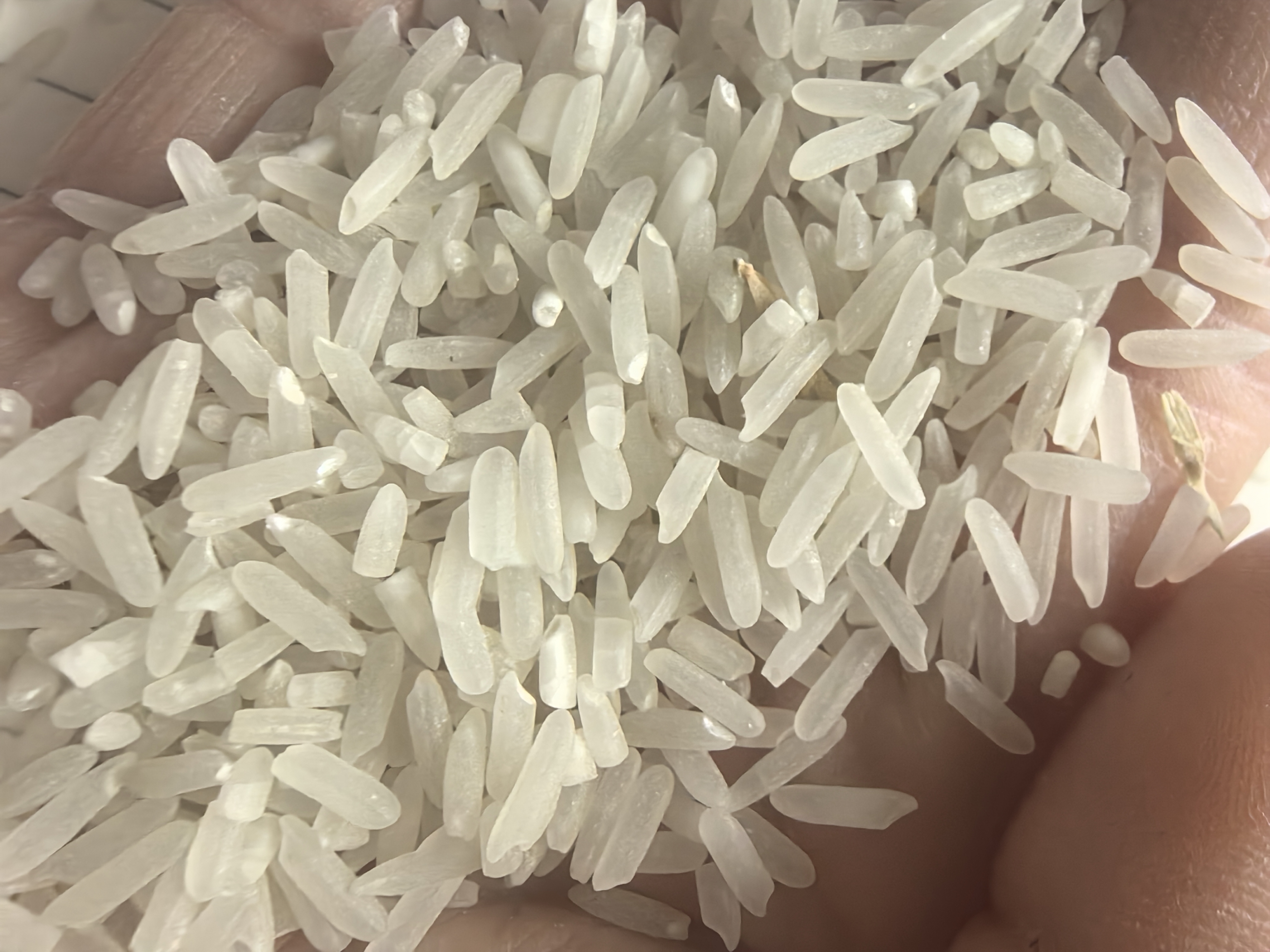 黑龙江五常市龙凤山乡核心产区航拍:左侧为有机认证稻田(土壤pH 6.2,腐殖质含量5.8%),右侧为全自动低温碾米车间(环境温度12℃,碾米温升≤3℃),输送带标注‘五优稻4号’品种代码 五常产区稻田与标准化加工车间航拍