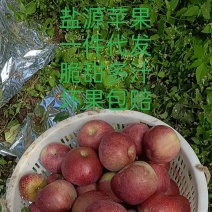 盐源糖心丑苹果，一件代发，红富士苹果专业代办