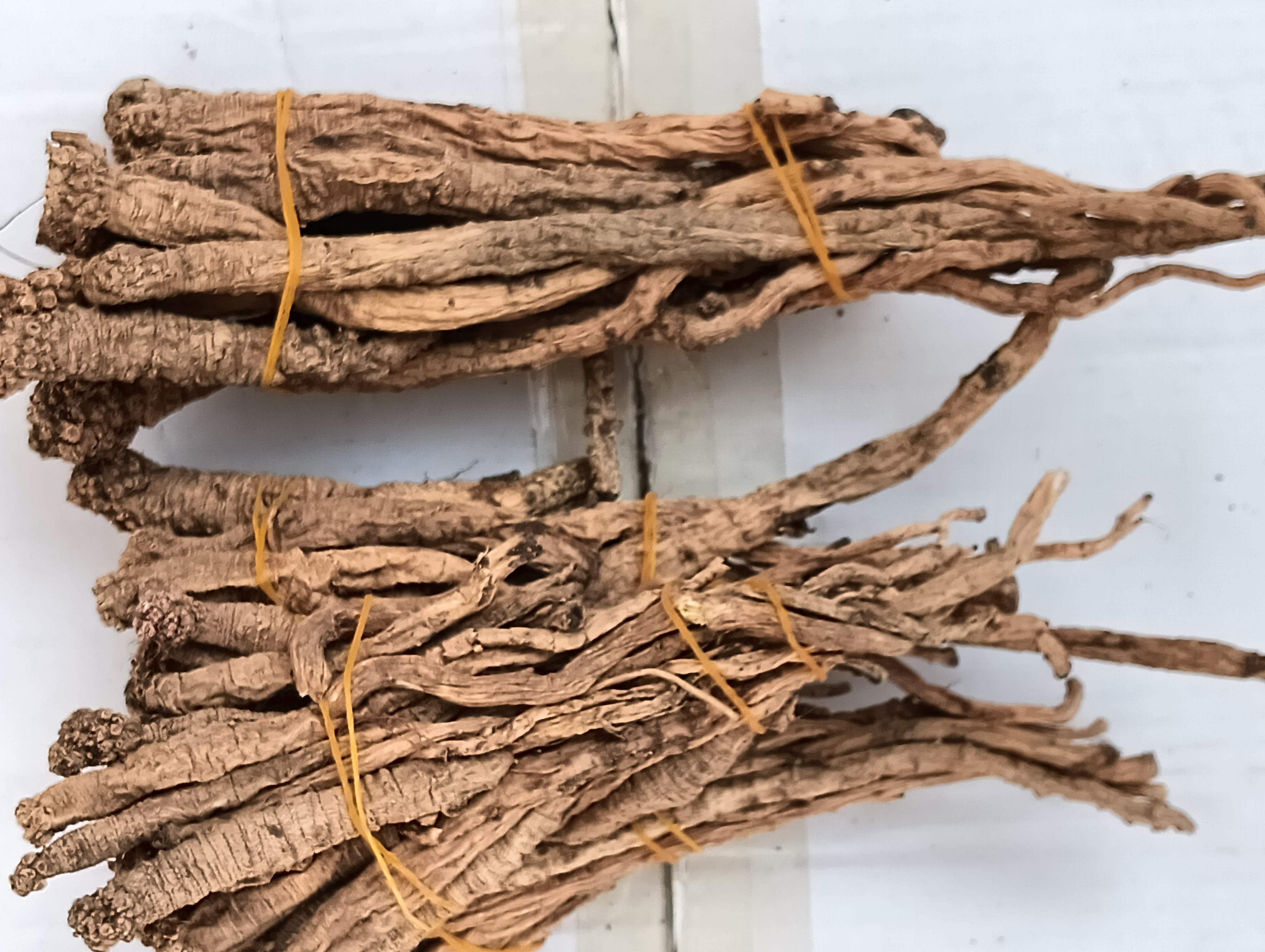 党参与药材搭配图