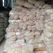 红薯粉条工厂直销量大质优价格优惠一手货源欢迎采购