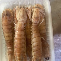 皮皮虾