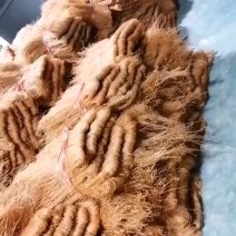 西瓜红粉丝