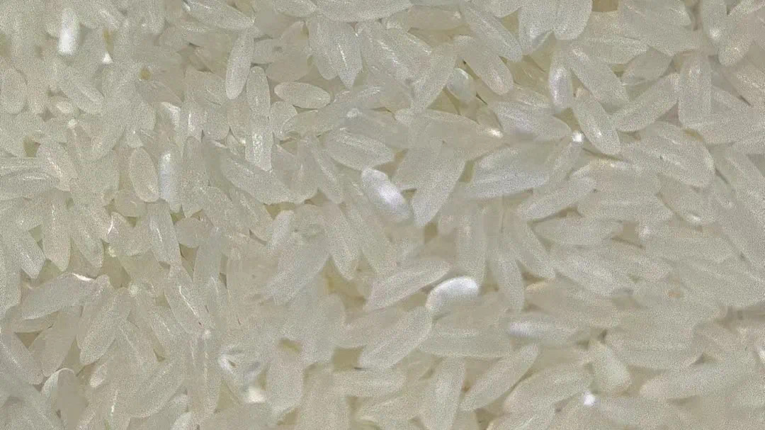 长粒香大米特写展示