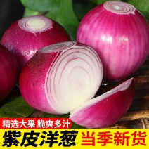 精品紫葱！水果味洋葱！好吃不辣！产地直销！平度特产！