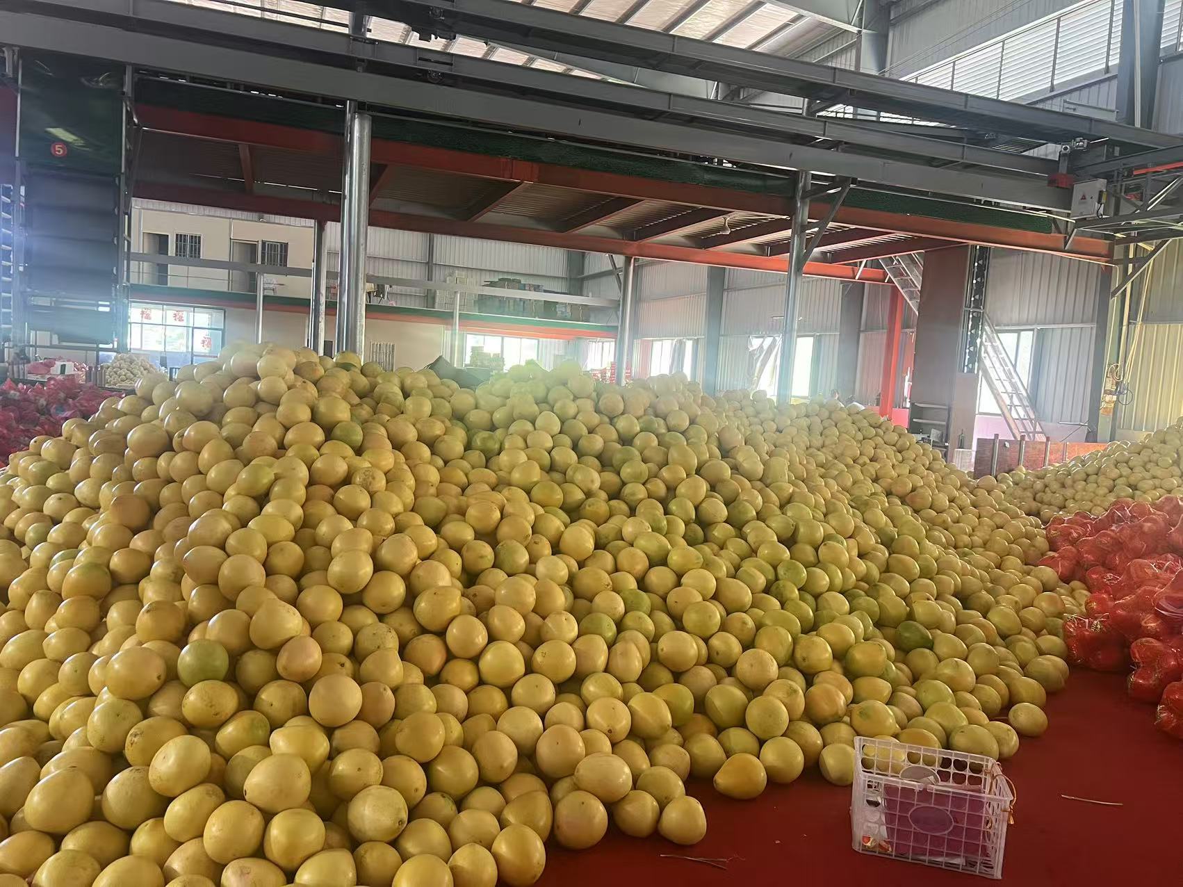 葡萄柚果皮蜜饯成品展示