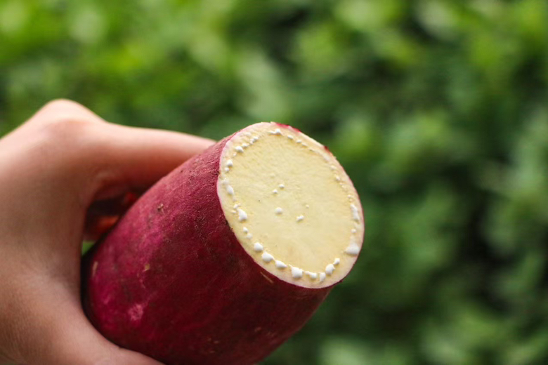 厨房中正在削去发芽部分的烟薯过程