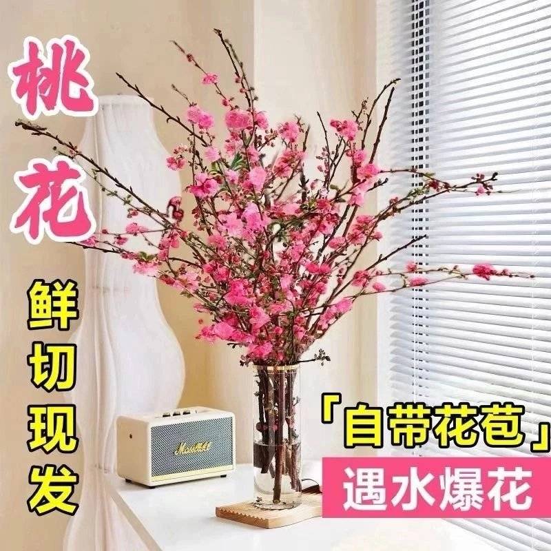 [桃花批发]山东潍坊青州市桃花 2.50元/件鲜切桃花枝50-6 _ 一亩田