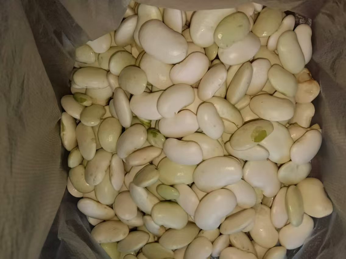女性更年期健康与大豆异黄酮关系图