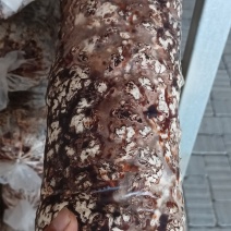 香菇菌棒
