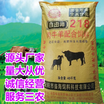 肉牛精补料爱吃肯长厂家批发量大从优80斤