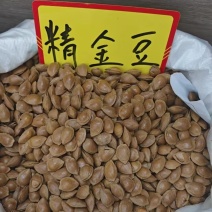 开口杏核