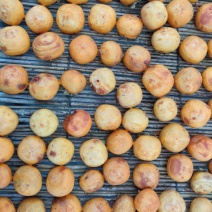 2024年山西老树柿饼