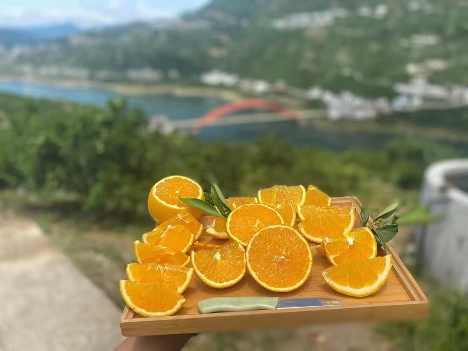 一张木质餐桌上摆放着新鲜的纽荷尔脐橙果盘,背景是温暖的阳光透过窗户洒在桌面上,营造出温馨自然的氛围 纽荷尔脐橙果盘摆拍