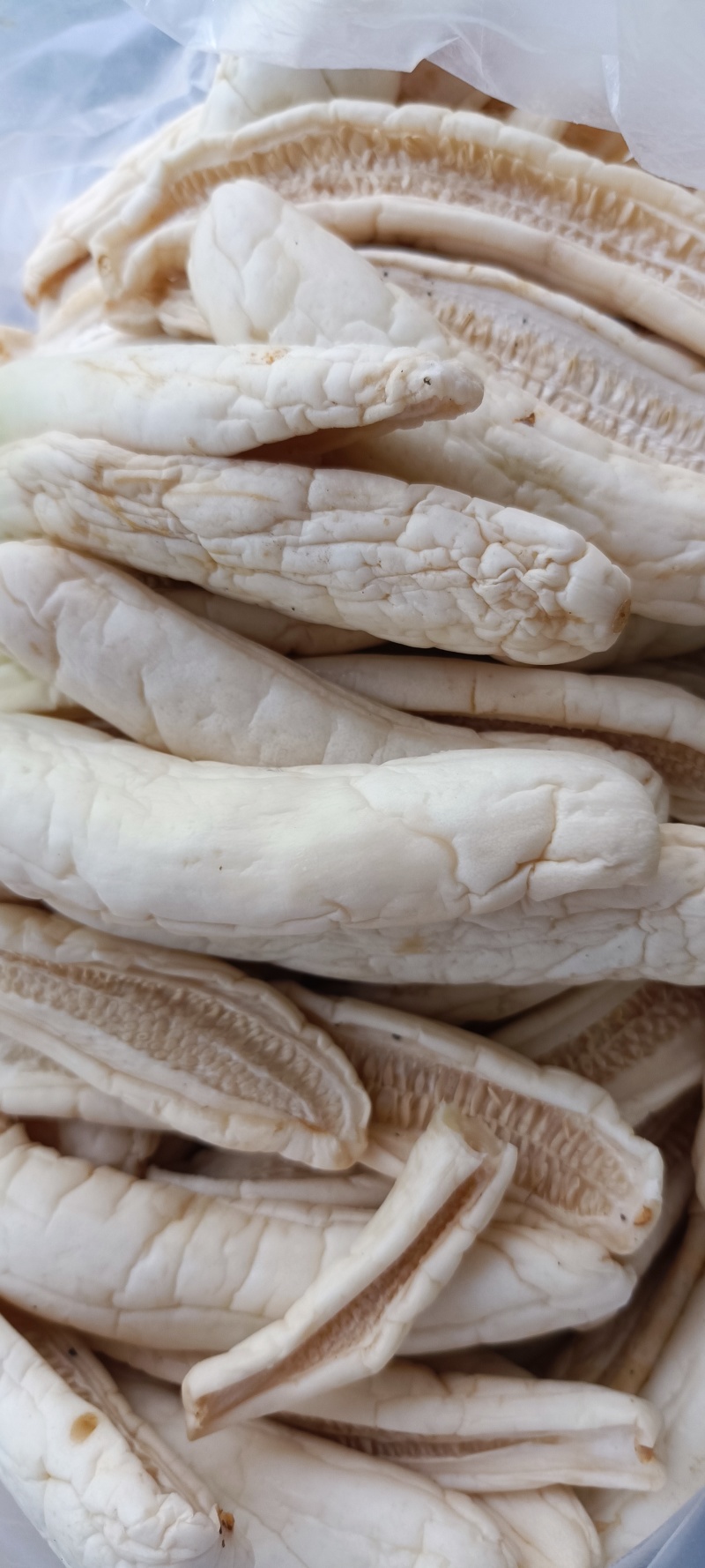 广东阳江阳西县黄瓜干 3.80元/斤阳江阳西瓜咸