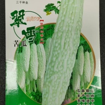 苦瓜种子翠雪长白苦瓜颜色白嫩瓜条顺直结瓜密产量高