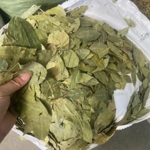 进口香叶电商**