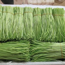 藜蒿（中等货）