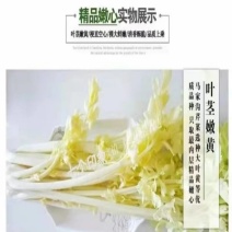 【今日推荐】酥脆甜爽的平度马家沟芹菜可视频看货