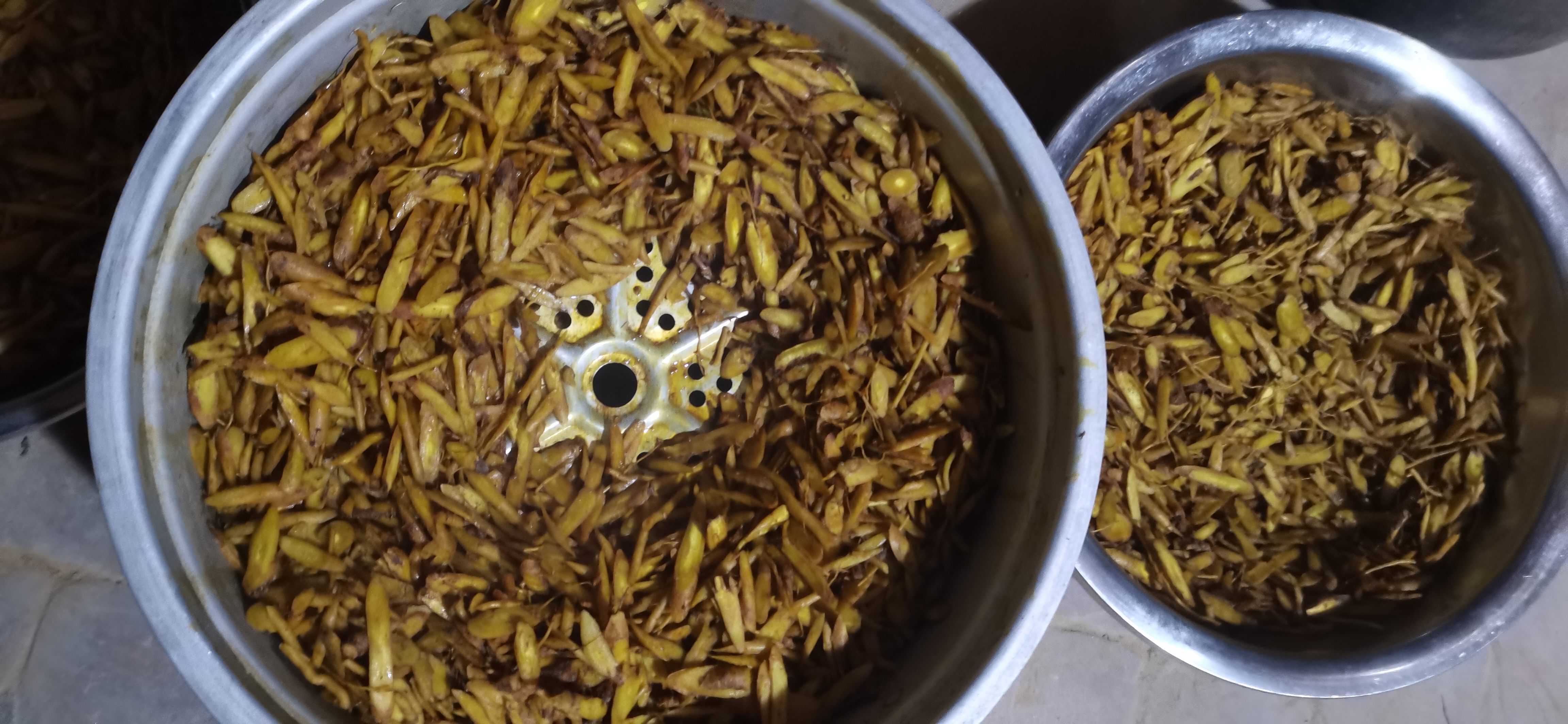 中药煎煮场景,展示黄芩与其他药材一起煎煮的过程 黄芩煎煮过程图