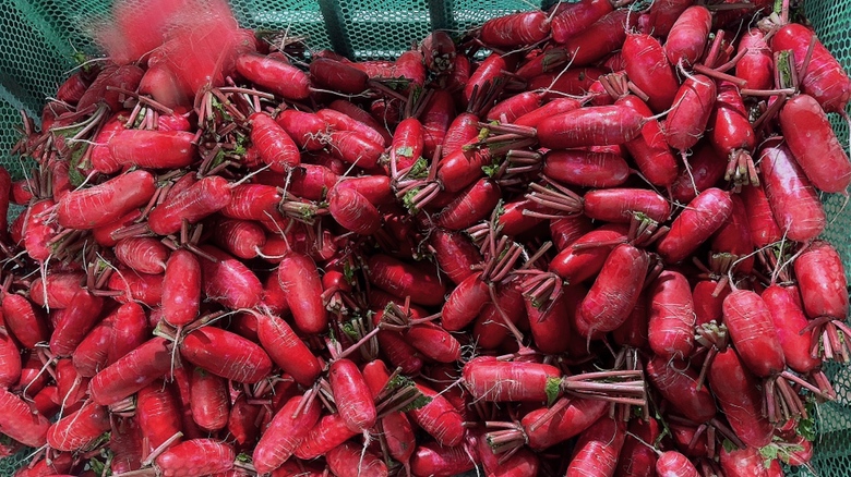 萝卜炖肉皮成品图