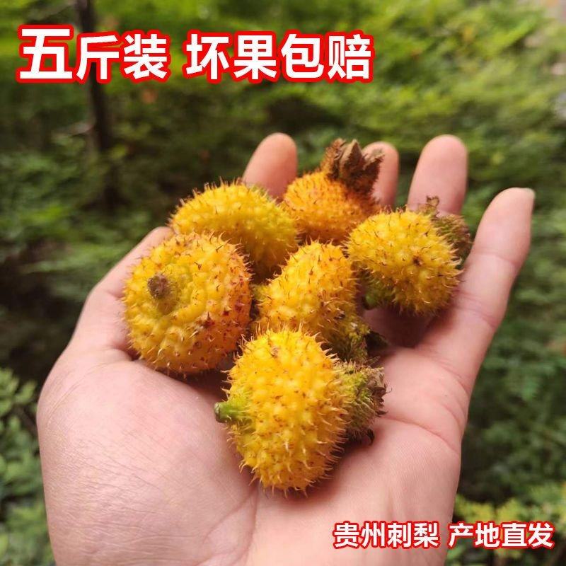[刺梨批发]山东济南莱芜刺梨 38.00元/件贵州当季新鲜刺梨果 _ 一亩田