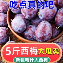 【顺丰5斤】新疆喀什大西梅应季女神西梅新鲜水果西梅李子
