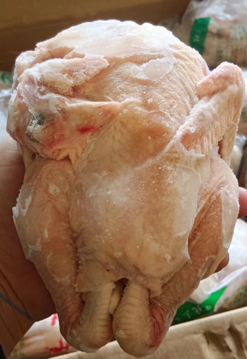 山东德州禹城市鸡肉 98.00元/件新鲜冷冻一级三
