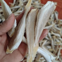 角条山东红娘鱼咸鱼干