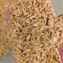 燕麦壳现货，俄罗斯进口燕麦壳现货现货……