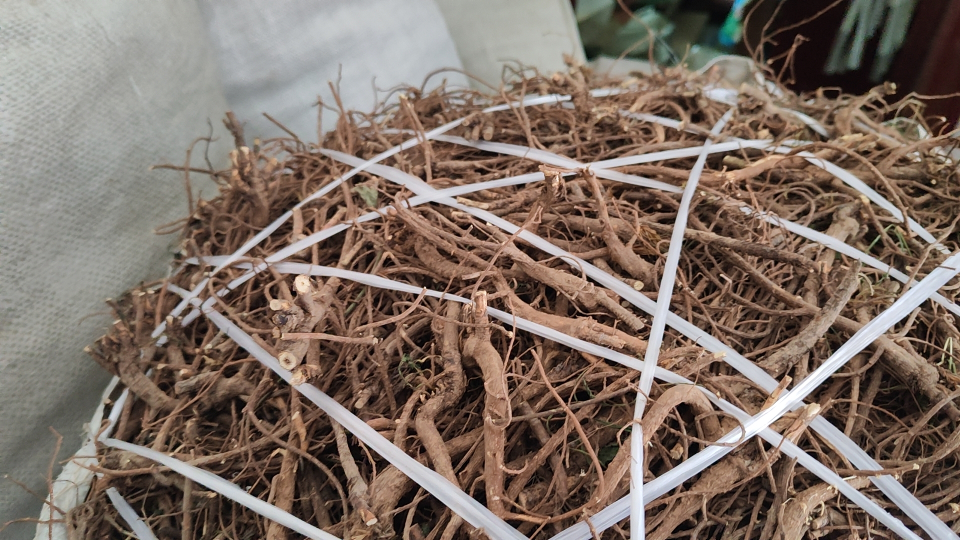 北柴胡药材特写