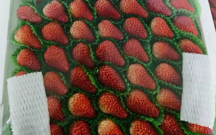 红颜草莓市场摆放场景