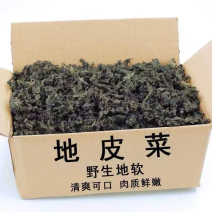 地皮菜干货量大从优