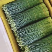 精品韭菜苔