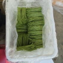 高原精品芦蒿