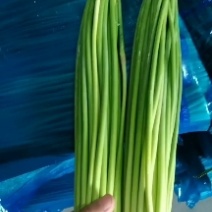 新鲜蒜薹，北京产地直供，品质保证，**特惠！