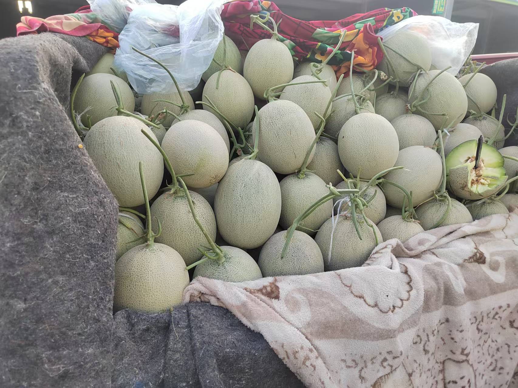 市场中摆放整齐的玉菇甜瓜摊位，新鲜诱人