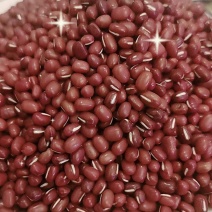 黑龙江红小豆批发